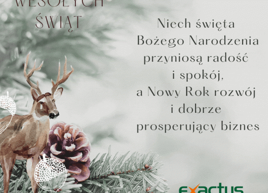 Kartka Świąteczna 2024